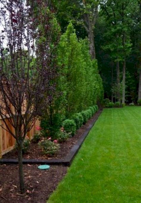 Privacy trees for backyard - Mar 11, 2565 BE ... Privacy trees can be a subtle, natural and aesthetically pleasing way to gain some solitude in your own yard. When strategically placed, these ...
